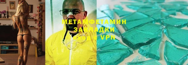прущие грибы Балахна