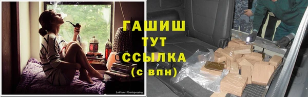 прущие грибы Баксан