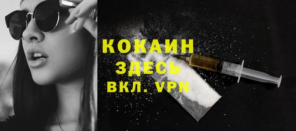 прущие грибы Балахна