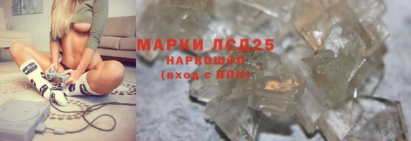 прущие грибы Баксан