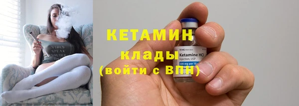 прущие грибы Балахна