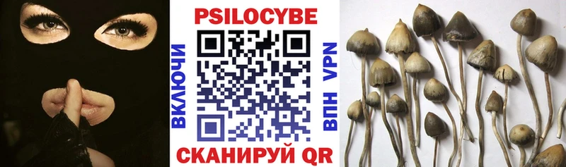 купить наркоту  Вятские Поляны  Галлюциногенные грибы GOLDEN TEACHER 